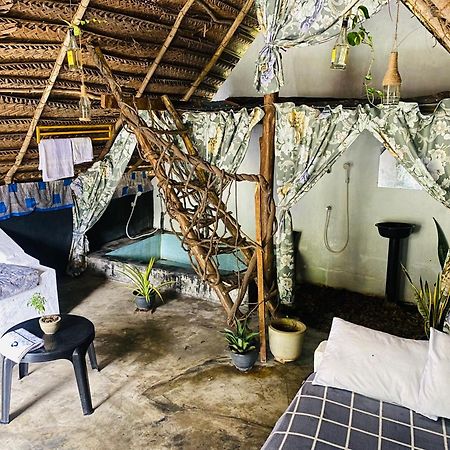 The Forest Edge Resort 담불라 외부 사진