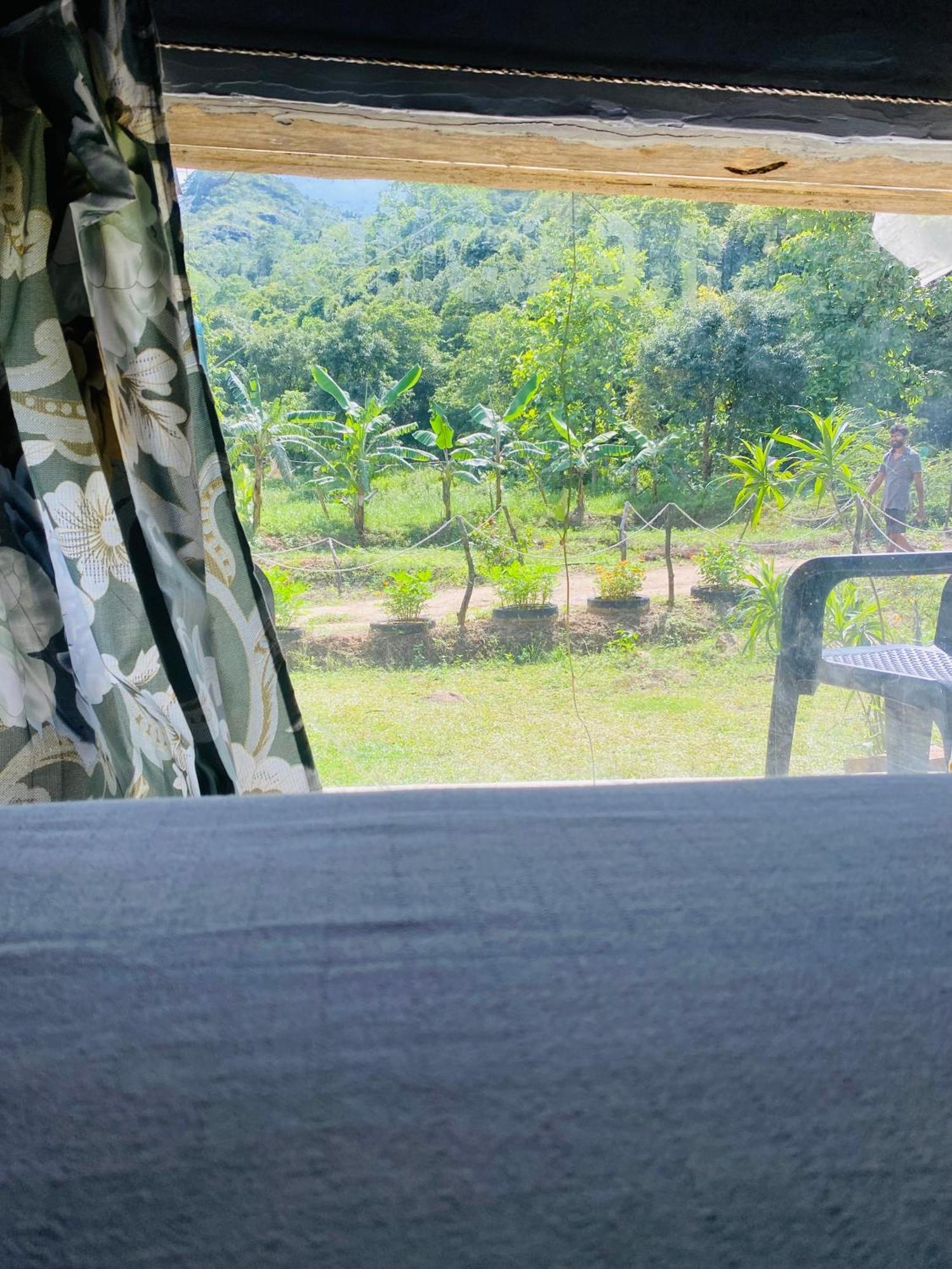 The Forest Edge Resort 담불라 외부 사진