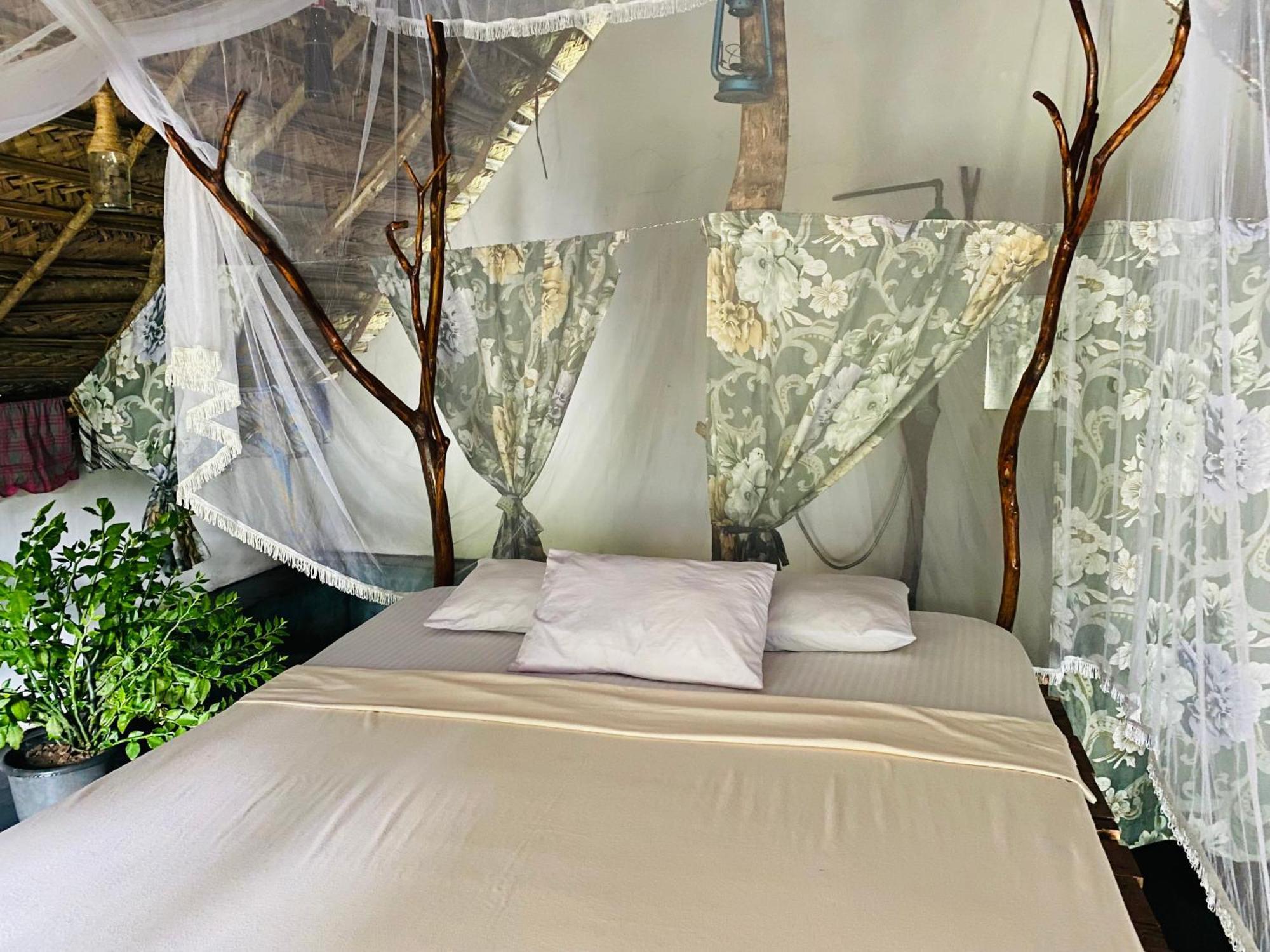 The Forest Edge Resort 담불라 외부 사진